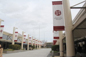 HCCF Flags